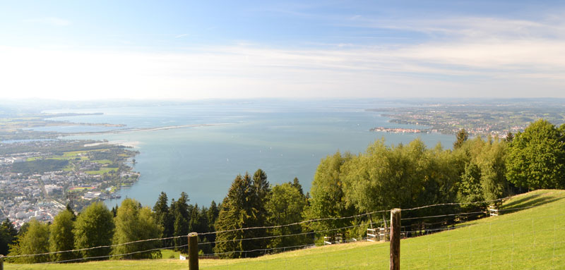 Pfnder bei Bregenz in sterreich