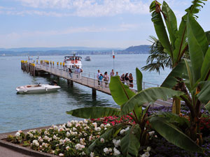 Hafen der Insel Mainau