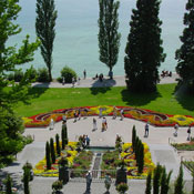 Auf der Mainau